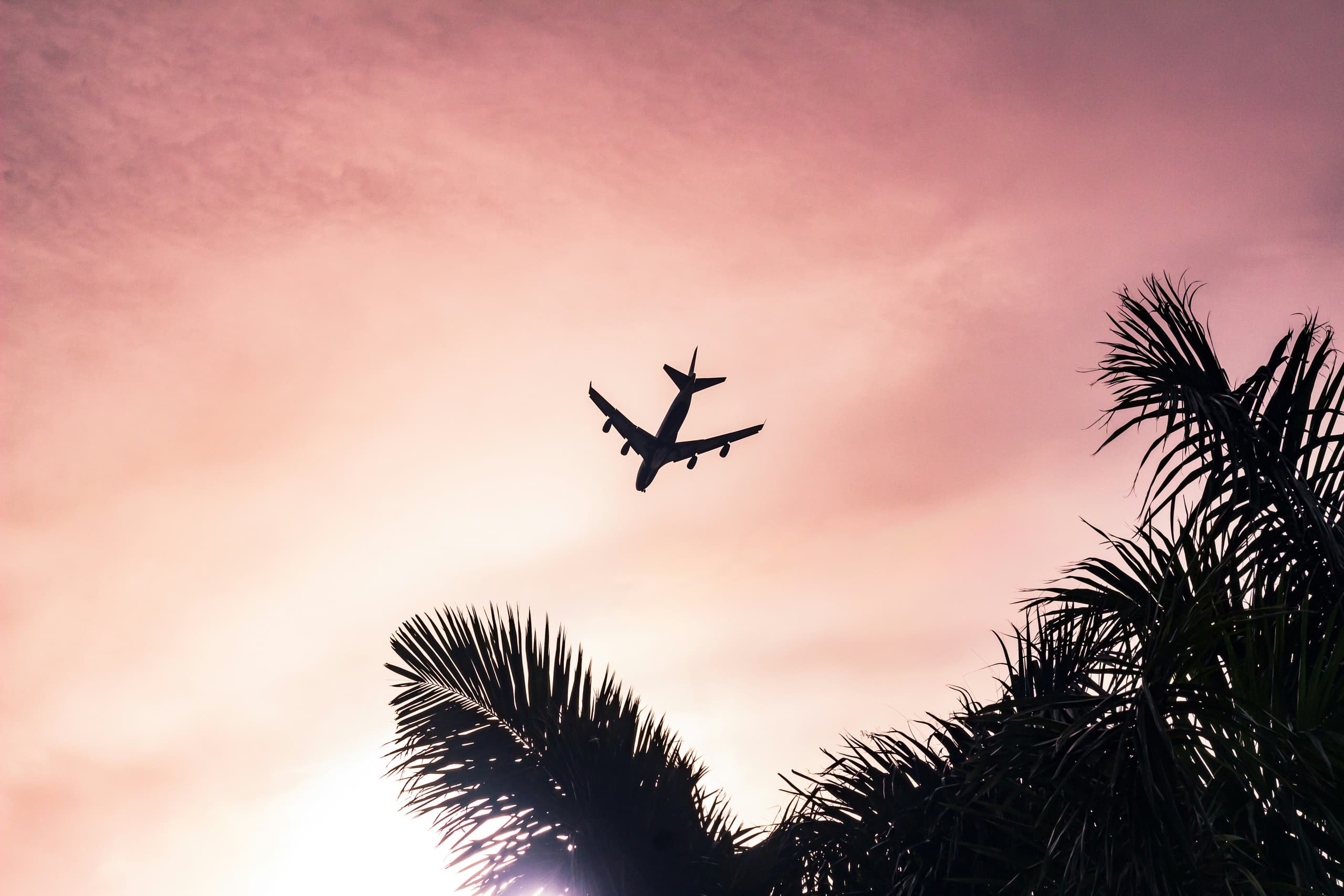 An airliner crossing a sunset sky above palms